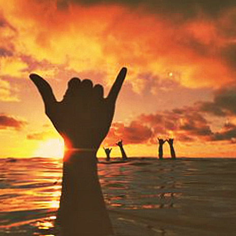 Shaka Hand Gesture Surf